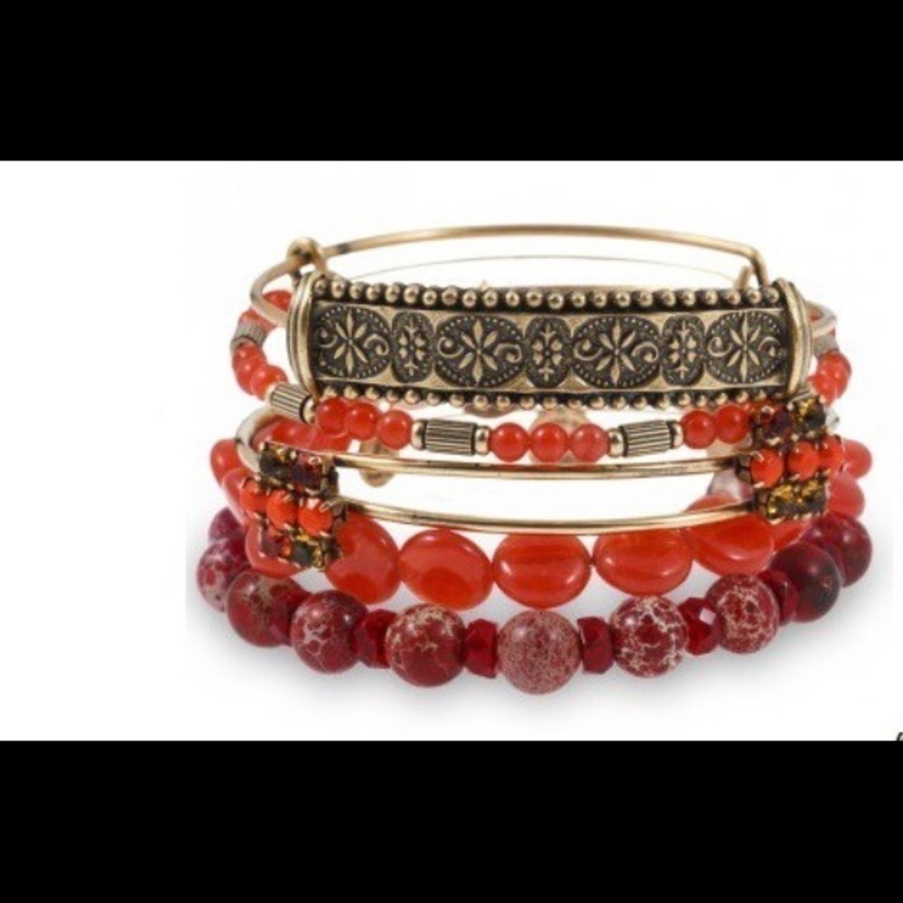 Alex & Ani “Carnivals & Caravans” cinnamon bangle​​​​​​​​​
